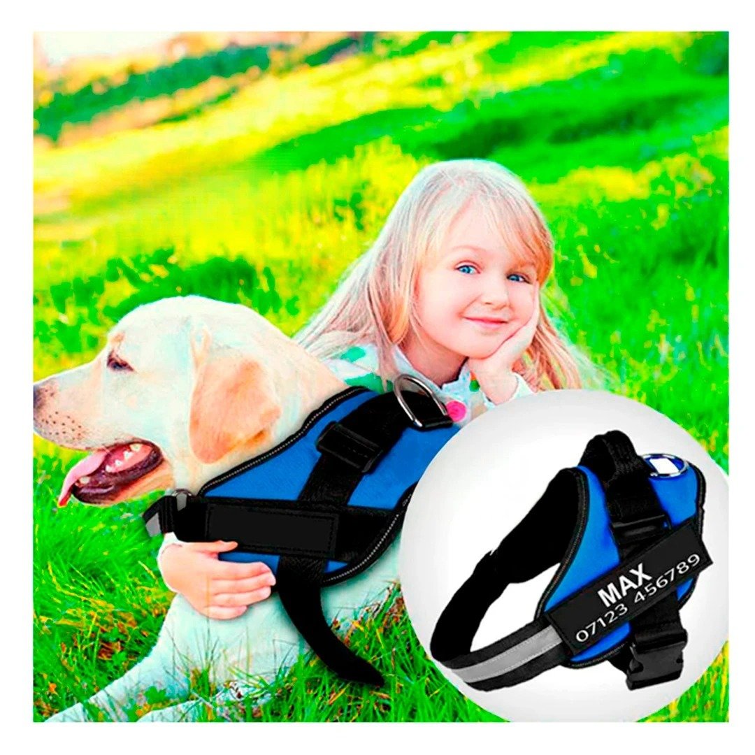 PACK6 CORREA AJUSTABLE SERVICE DOG TALLA XL AZUL PASEO DIARIO - 3