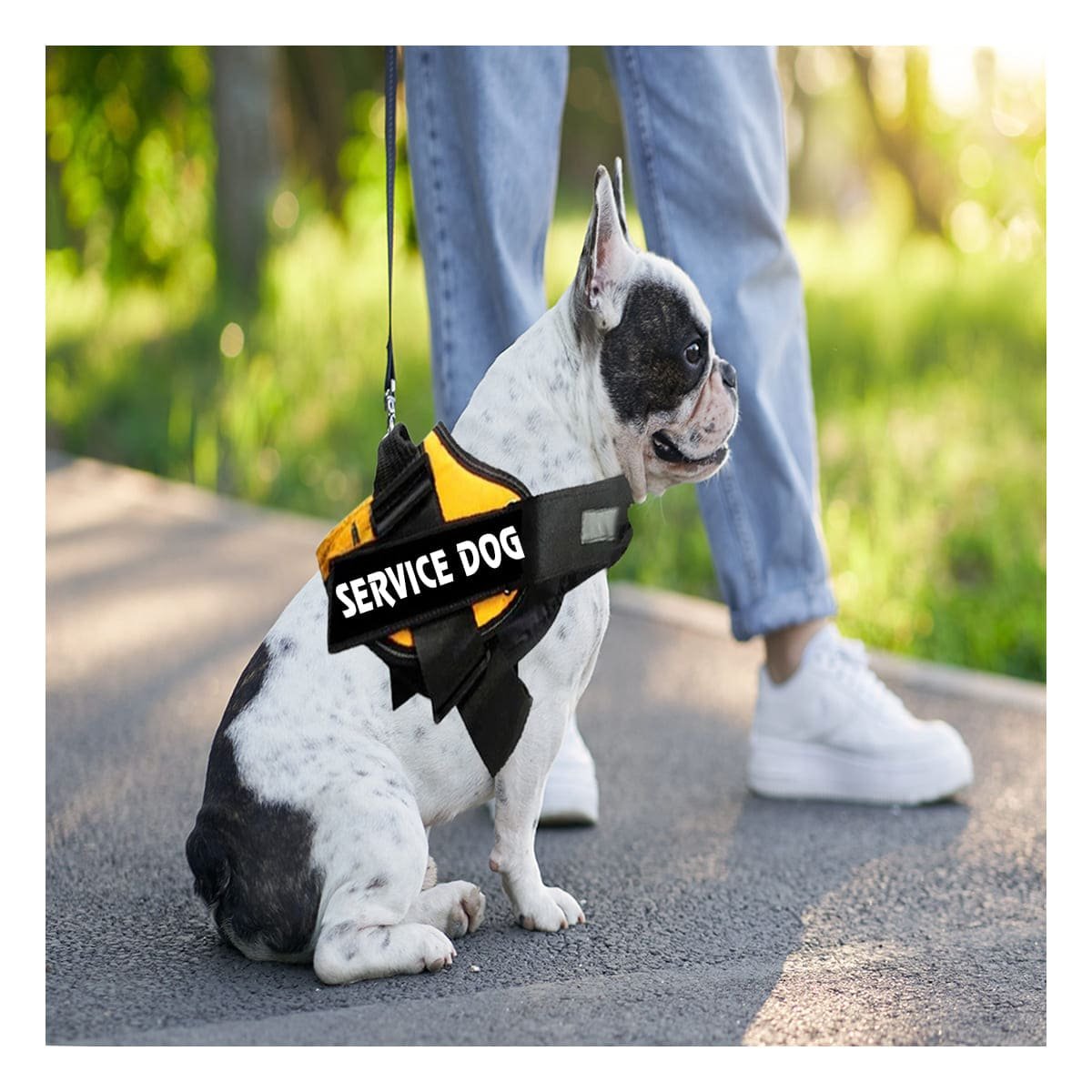 PACK2 CORREA PECHERA SERVICE DOG TALLA S AMARILLO COMODO Y+PAPEL REGALO - 5