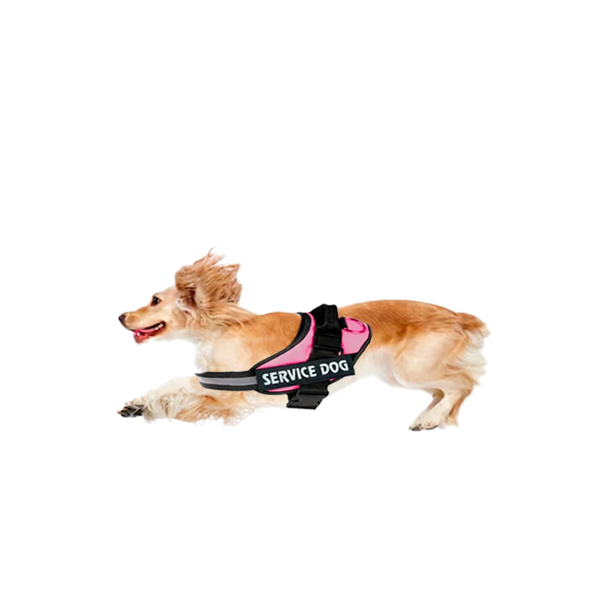 PACK6 CHALECO REFORZADO SERVICE DOG TALLA S ROSADO TRABAJO DIARIO Y+REGALO STICKER - 2