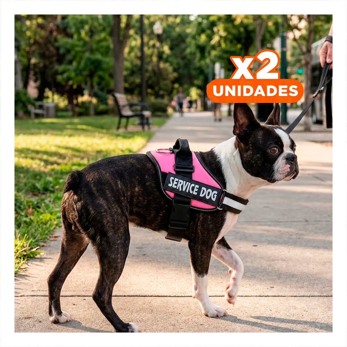 PACK2 PECHERA RESISTENTE SERVICE DOG TALLA S ROSADO ENTRENAMIENTO Y+REGALO STICKER - 1