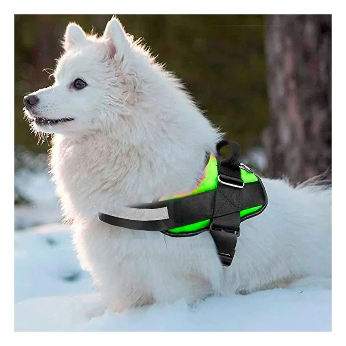 PACK2 CHALECO CANINO SERVICE DOG TALLA S VERDE PARA APOYO Y+PAPEL REGALO - 2