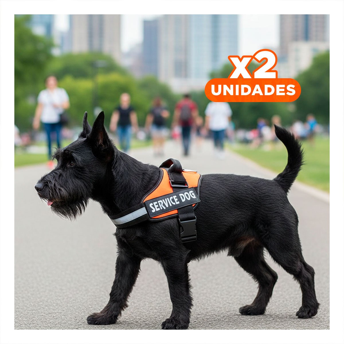 PACK2 PECHERA RESISTENTE SERVICE DOG TALLA S ANARANJADO ENTRENAMIENTO Y+REGALO STICKER - 1