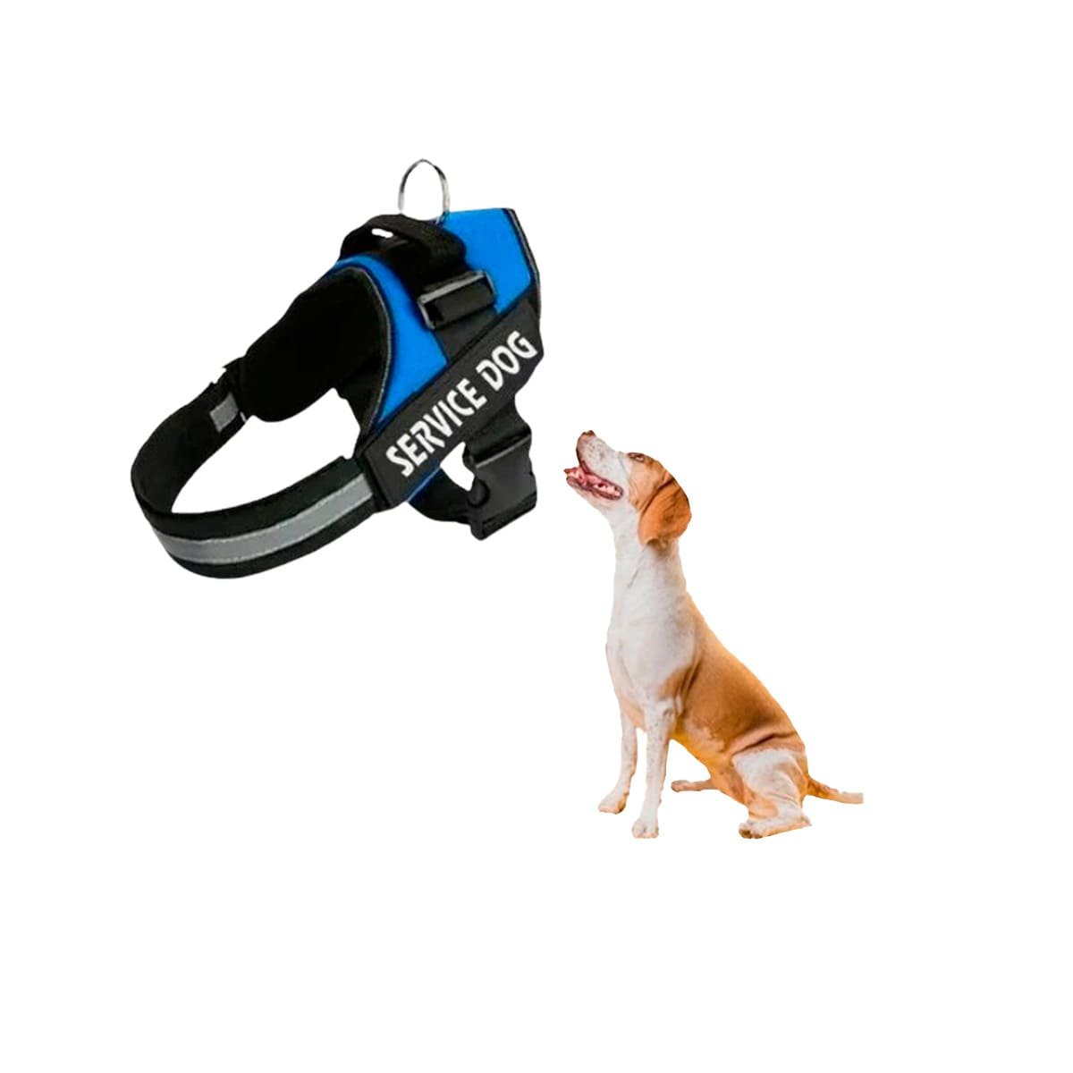 PACK4 EQUIPO AJUSTABLE SERVICE DOG TALLA S AZUL PARA PERRO PEQUENO Y+PAPEL REGALO - 3