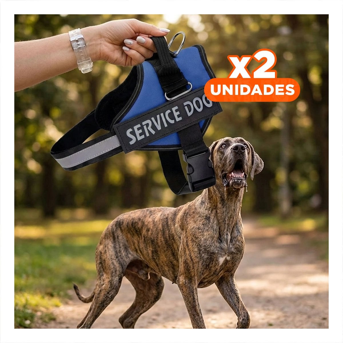 PACK2 PECHERA RESISTENTE SERVICE DOG TALLA XXL AZUL ENTRENAMIENTO Y+REGALO STICKER - 1