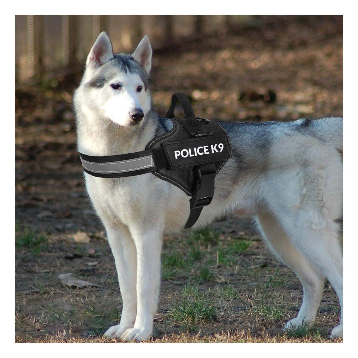 PACK6 CHALECO REFORZADO SERVICE DOG TALLA XXL NEGRO TRABAJO DIARIO Y+REGALO STICKER - 5