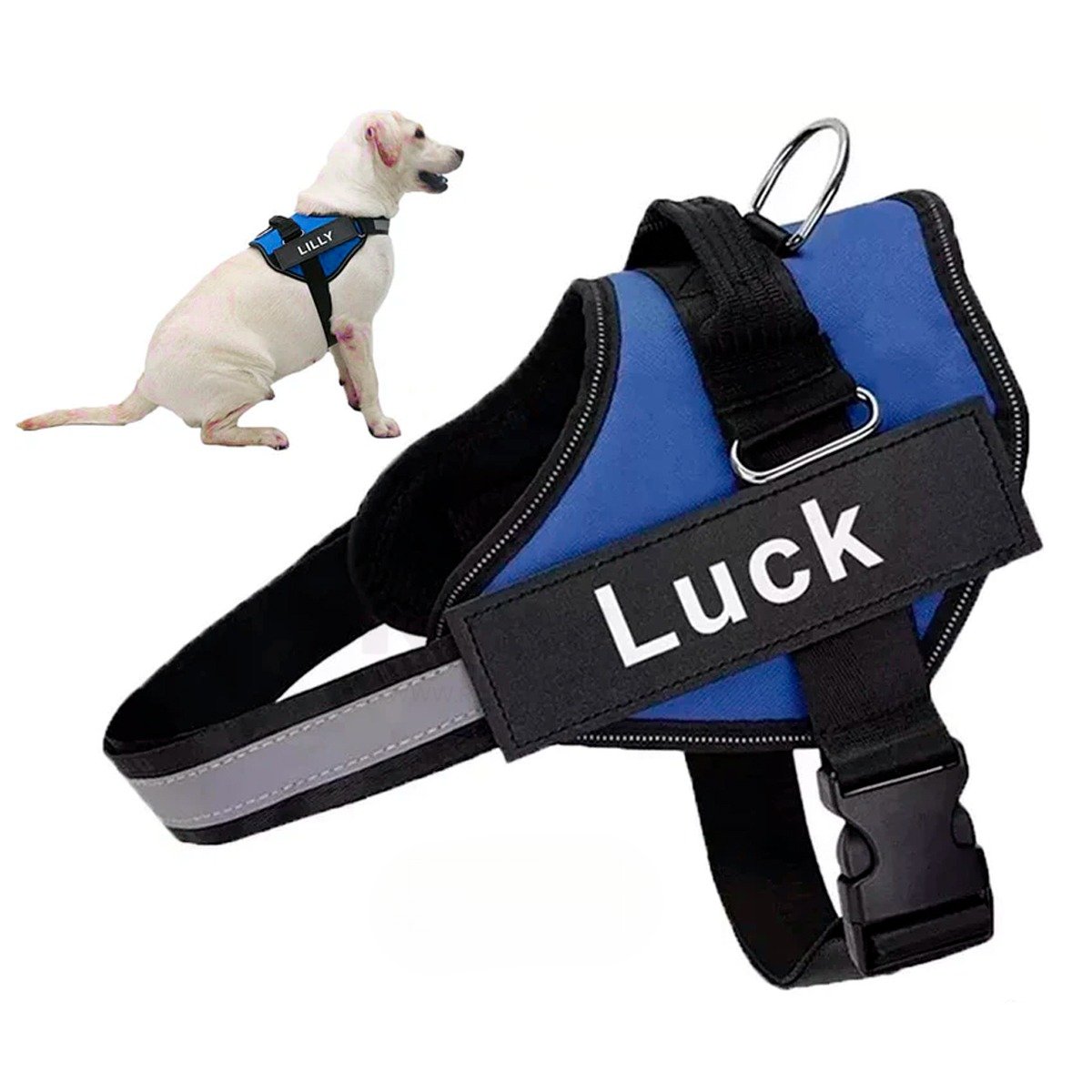 PACK4 EQUIPO AJUSTABLE SERVICE DOG TALLA XL AZUL MASCOTA ACTIVA Y+PAPEL REGALO - 3
