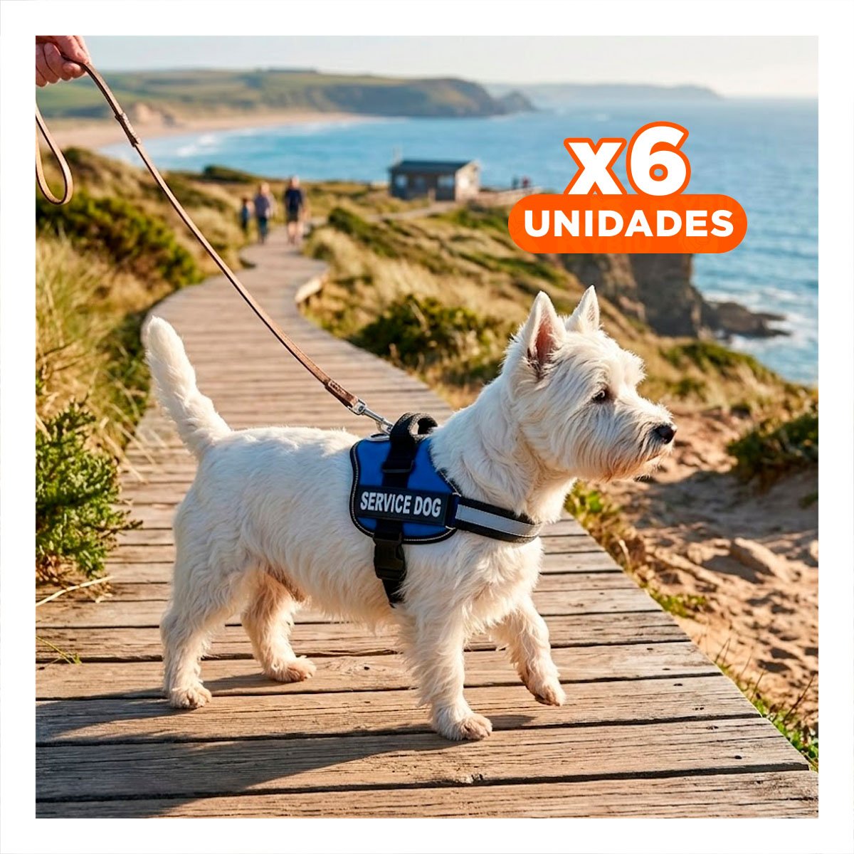 PACK6 CHALECO REFORZADO SERVICE DOG TALLA S AZUL PARA TRABAJO DIARIO Y+REGALO STICKER - 1
