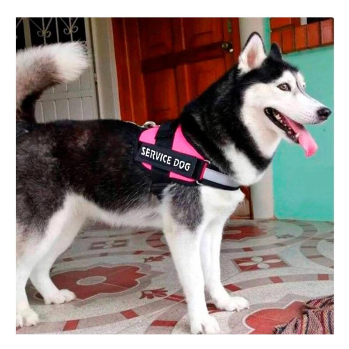 PACK4 CINTURON AJUSTABLE SERVICE DOG TALLA XL ROSADO PARA PASEO - 2