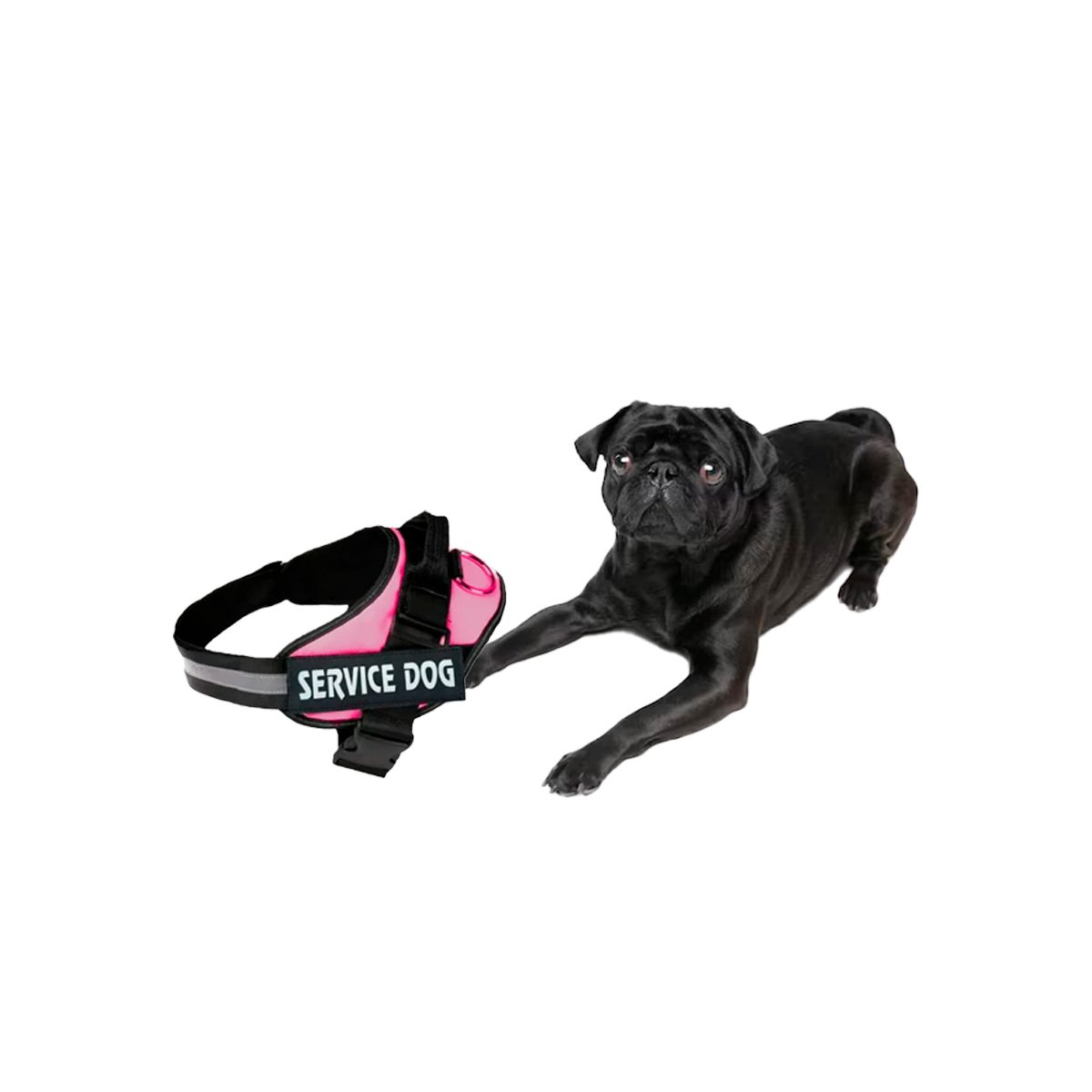 PACK4 EQUIPO AJUSTABLE SERVICE DOG TALLA S ROSADO MASCOTA ACTIVA Y+PAPEL REGALO - 3