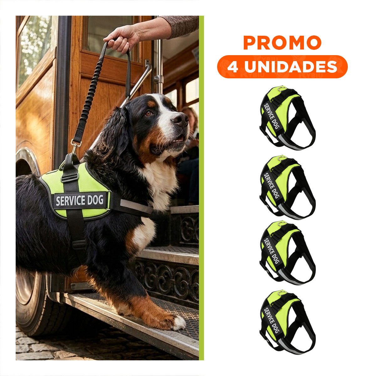 PACK4 CINTURON CANINO SERVICE DOG TALLA XL VERDE SOPORTE SEGURO Y+REGALO STICKER - 1