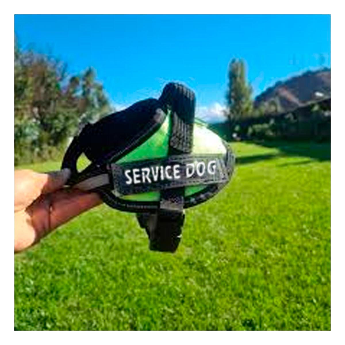 PACK4 CINTURON CANINO SERVICE DOG TALLA XL VERDE SOPORTE SEGURO Y+REGALO STICKER - 5