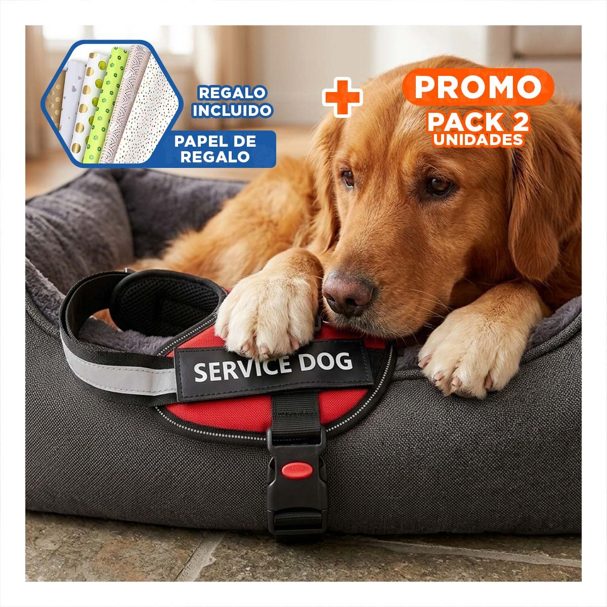 PACK2 CINTURON CANINO SERVICE DOG TALLA XL ROJO SOPORTE SEGURO Y+PAPEL REGALO - 1