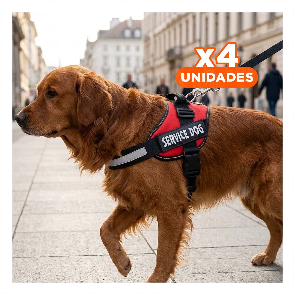 PACK4 ARNES DE PASEO SERVICE DOG TALLA XL ROJO MASCOTA URBANA - 1