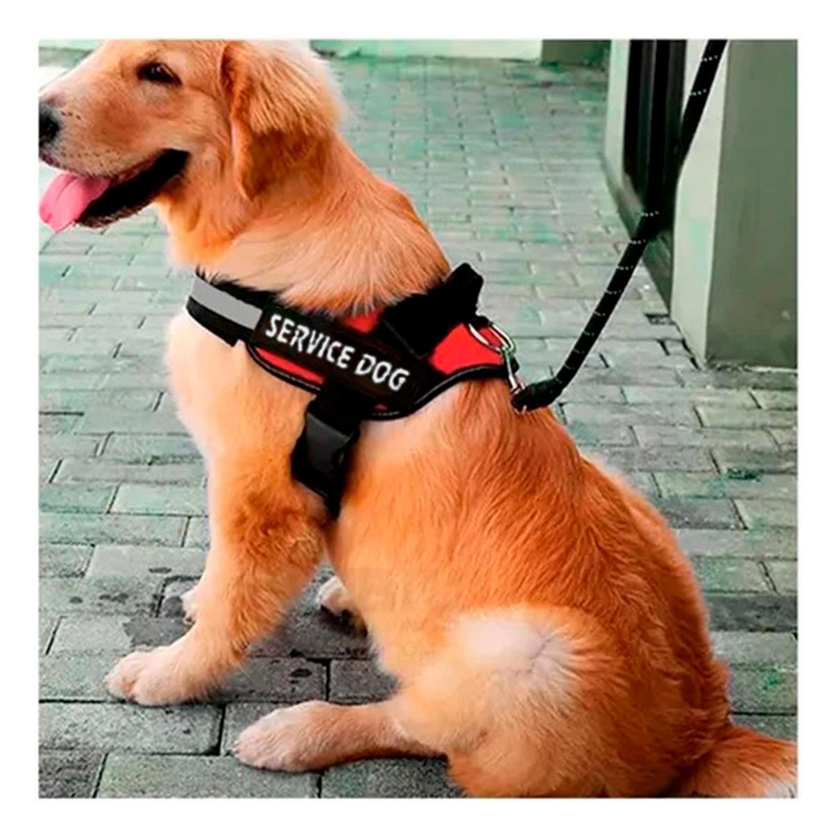 PACK4 ARNES DE PASEO SERVICE DOG TALLA XL ROJO MASCOTA URBANA - 3