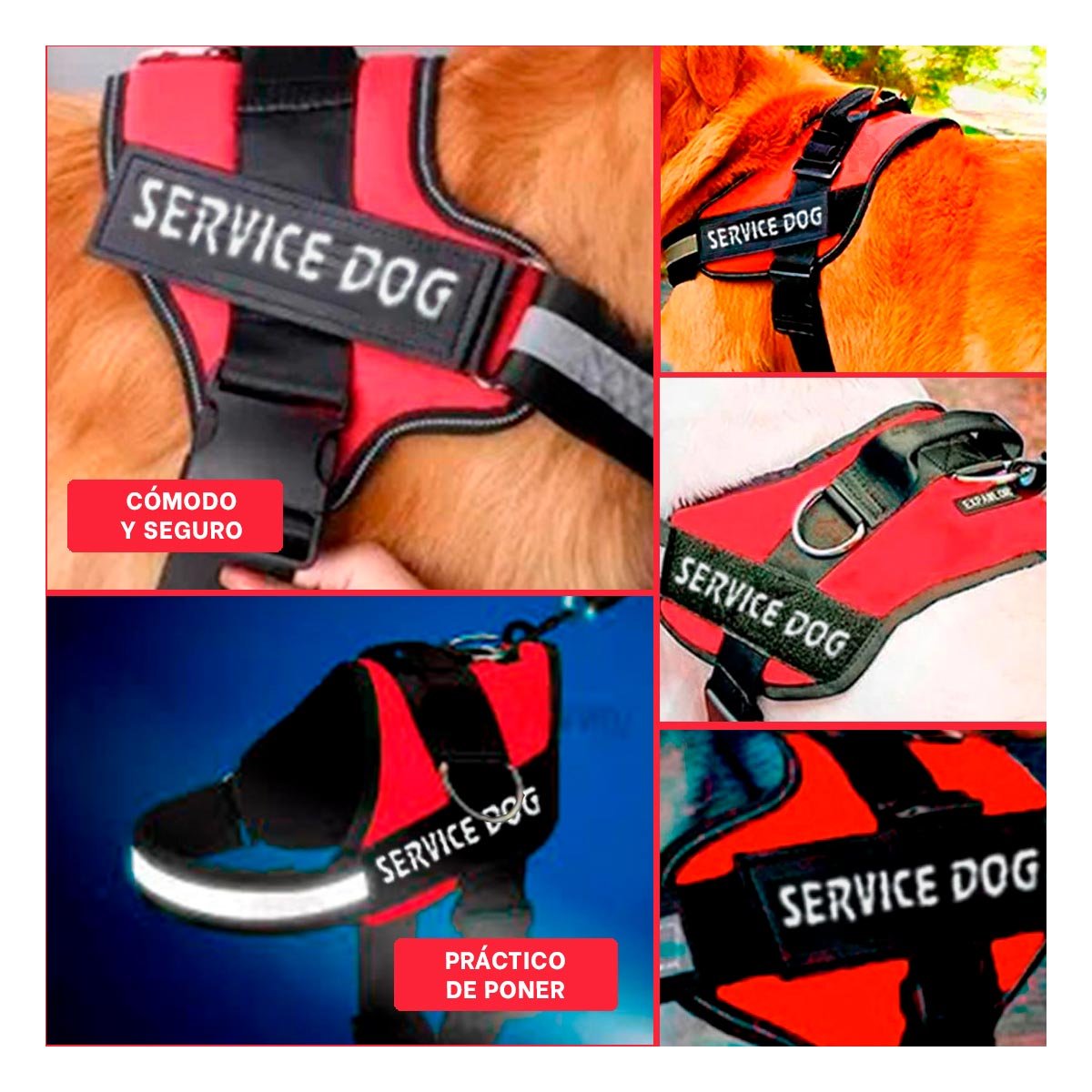 PACK4 PECHERA CANINA SERVICE DOG TALLA XL ROJO AJUSTE COMODO Y+REGALO STICKER - 2