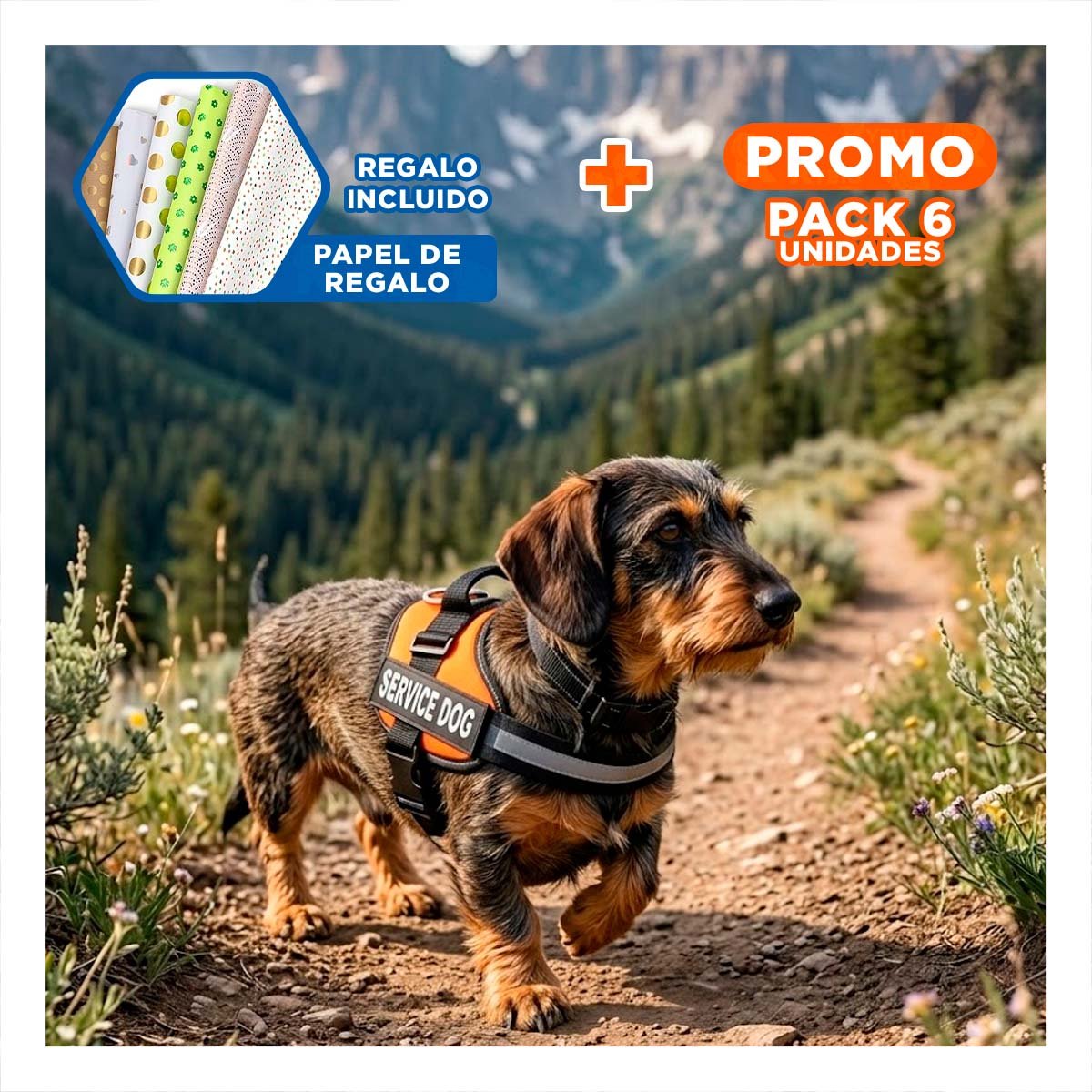 PACK6 ARNES DE PASEO SERVICE DOG TALLA S ANARANJADO MASCOTA URBANA Y+PAPEL REGALO - 1