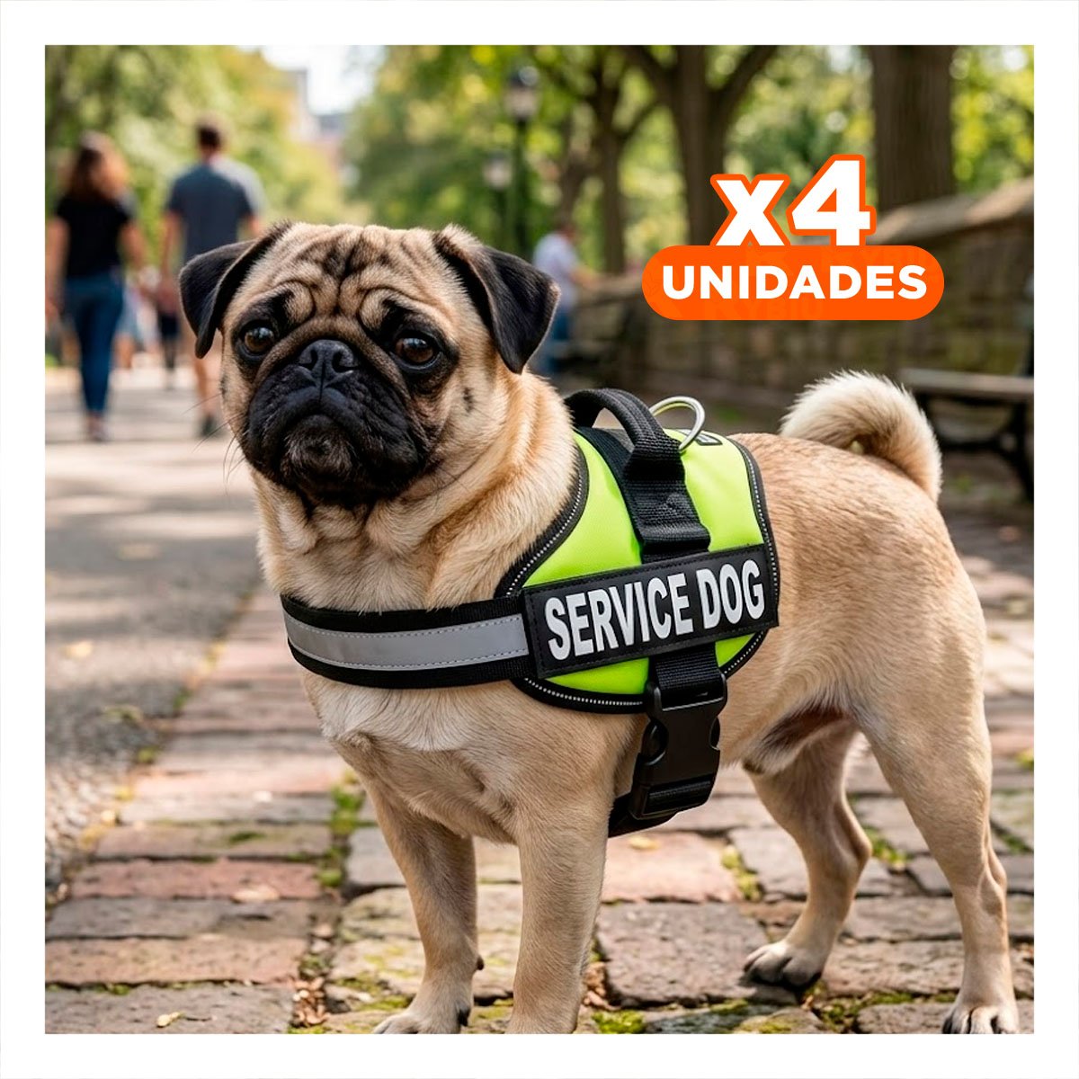 PACK4 ARNES COMODO SERVICE DOG TALLA S VERDE PASEOS LARGOS - 1
