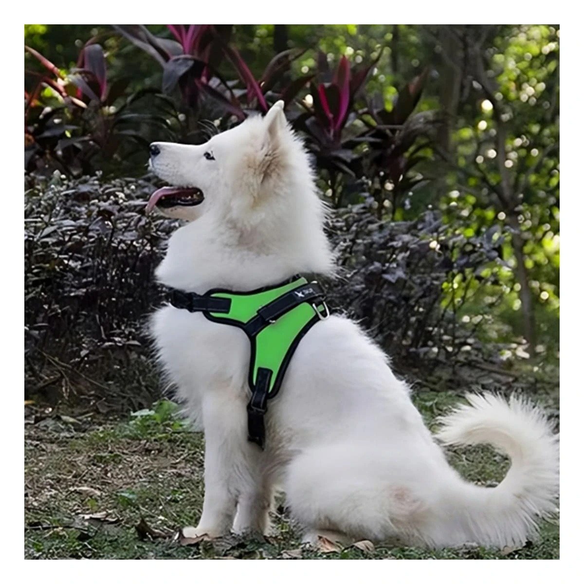 PACK4 ARNES COMODO SERVICE DOG TALLA S VERDE PASEOS LARGOS - 2