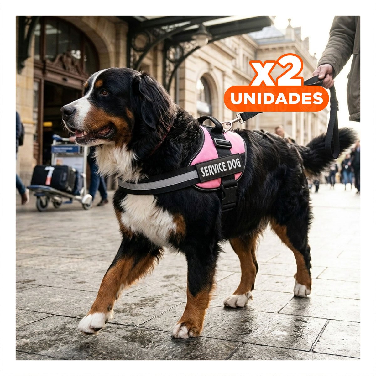 PACK2 EQUIPO DE SERVICIO SERVICE DOG TALLA XL ROSADO AJUSTE FIRME Y+REGALO STICKER - 1