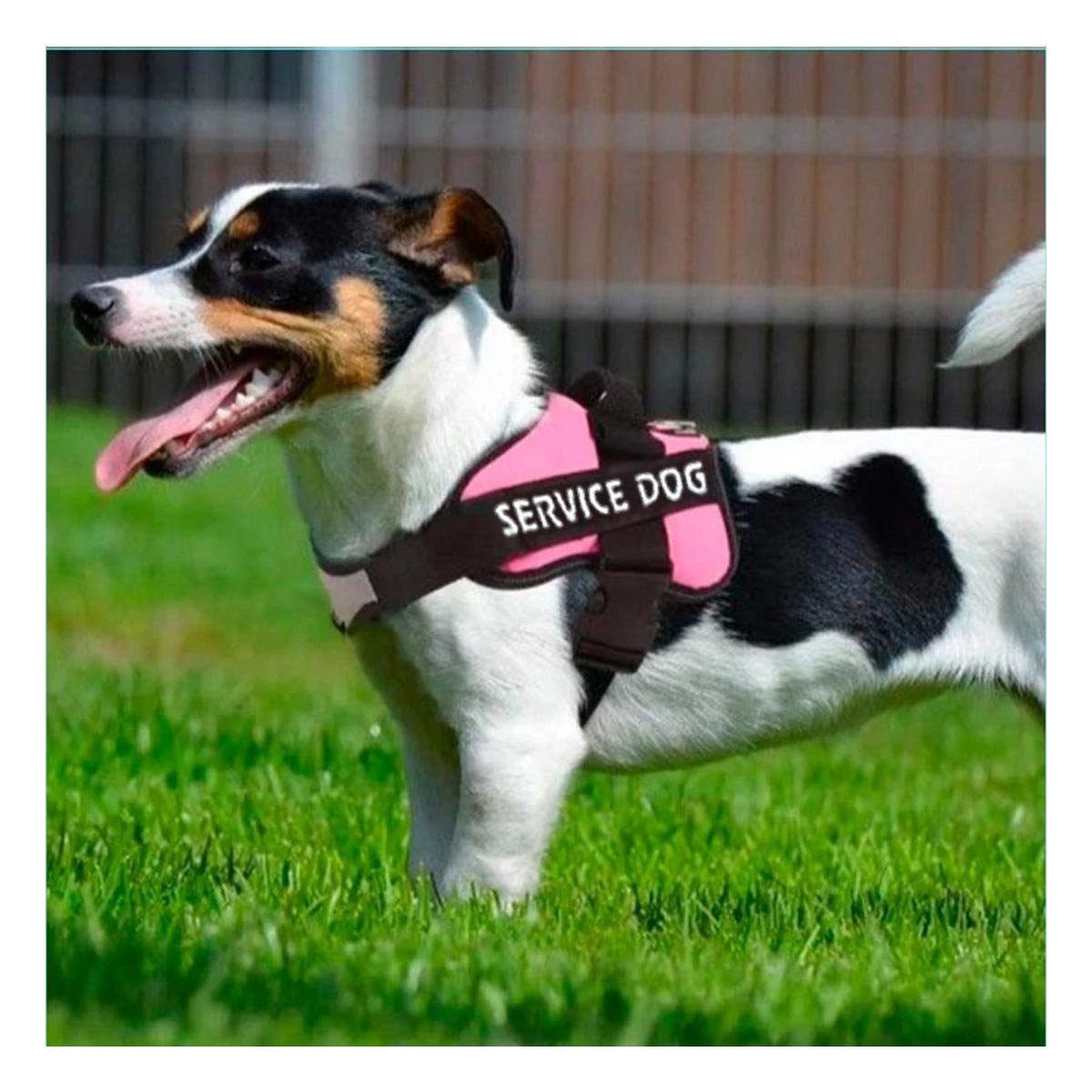 PACK2 EQUIPO DE SERVICIO SERVICE DOG TALLA XL ROSADO AJUSTE FIRME Y+REGALO STICKER - 5