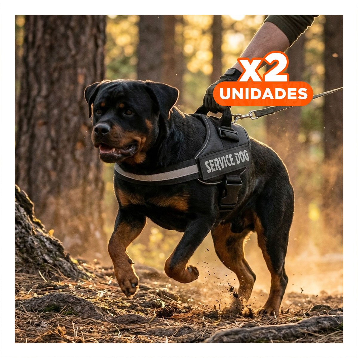 PACK2 PECHERA RESISTENTE SERVICE DOG TALLA XL NEGRO ENTRENAMIENTO Y+REGALO STICKER - 1