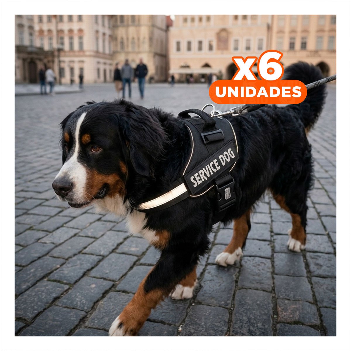 PACK6 CHALECO REFORZADO SERVICE DOG TALLA XL NEGRO TRABAJO DIARIO Y+REGALO STICKER - 1