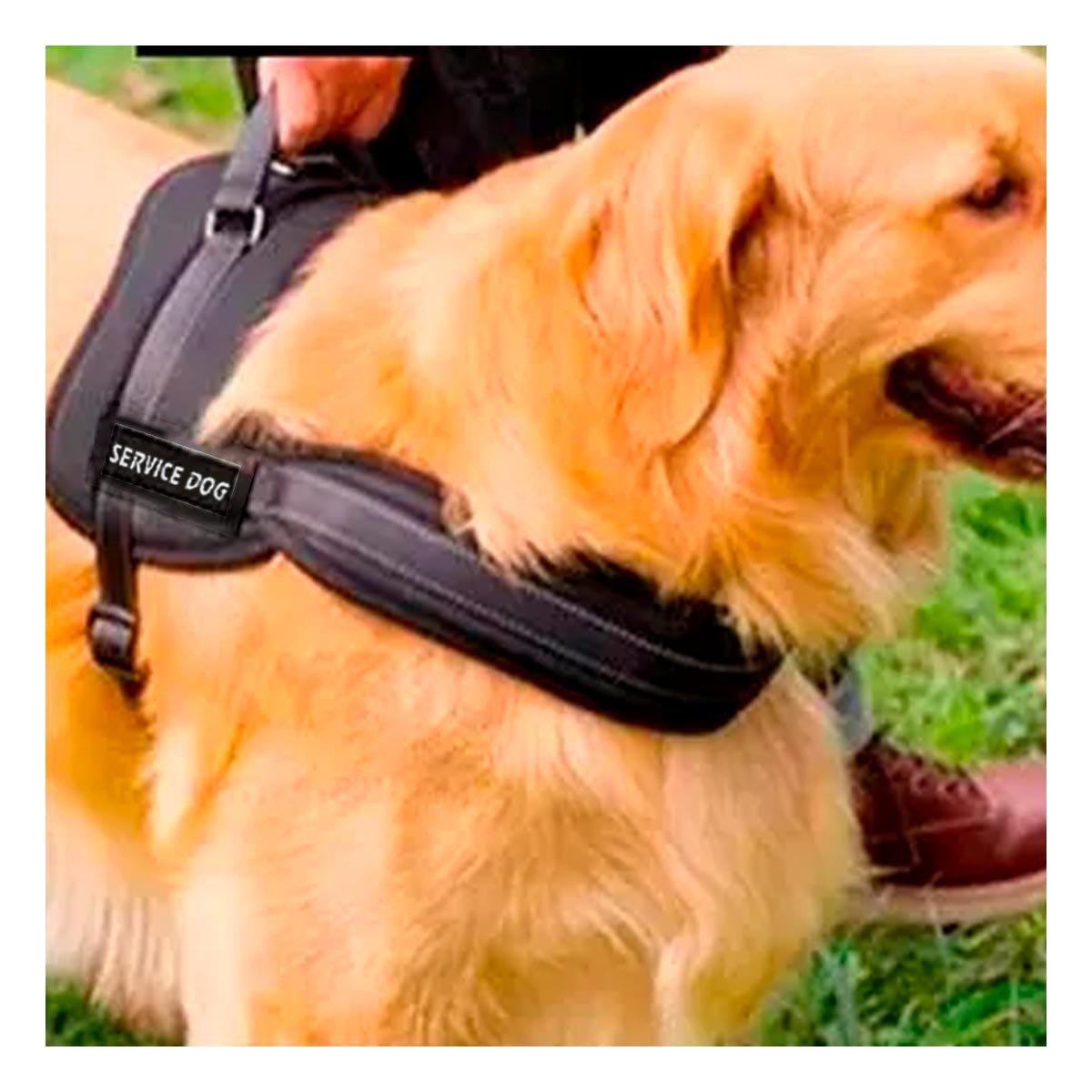 PACK6 CHALECO REFORZADO SERVICE DOG TALLA XL NEGRO TRABAJO DIARIO Y+REGALO STICKER - 3