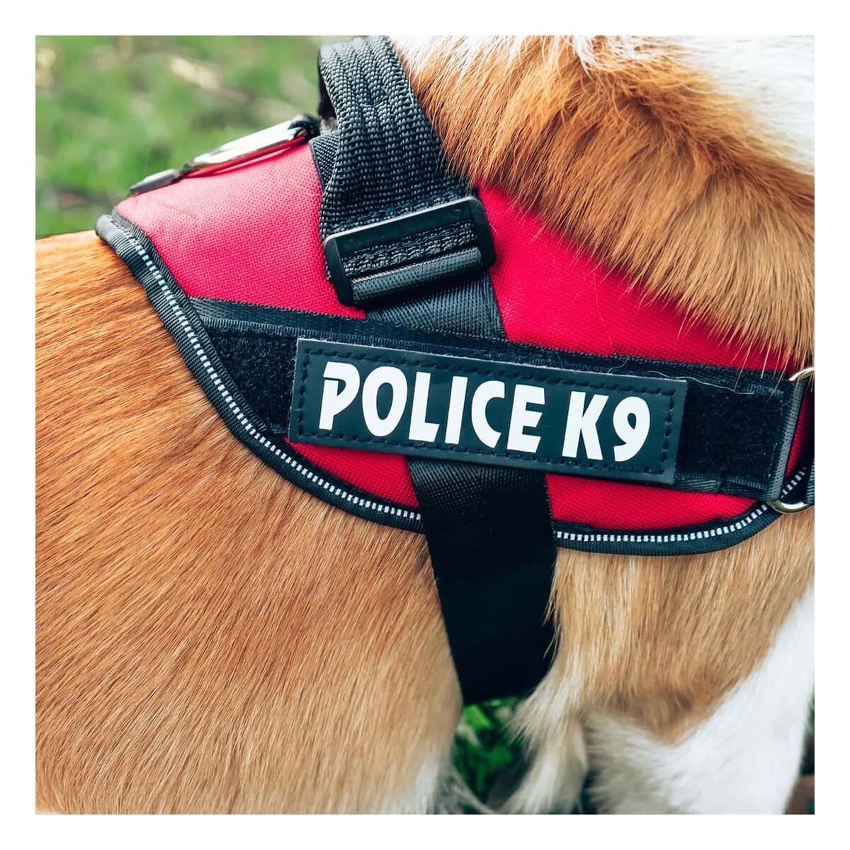 PACK2 PECHERA DE PASEO SERVICE DOG TALLA XXL ROJO DISENO SEGURO - 5