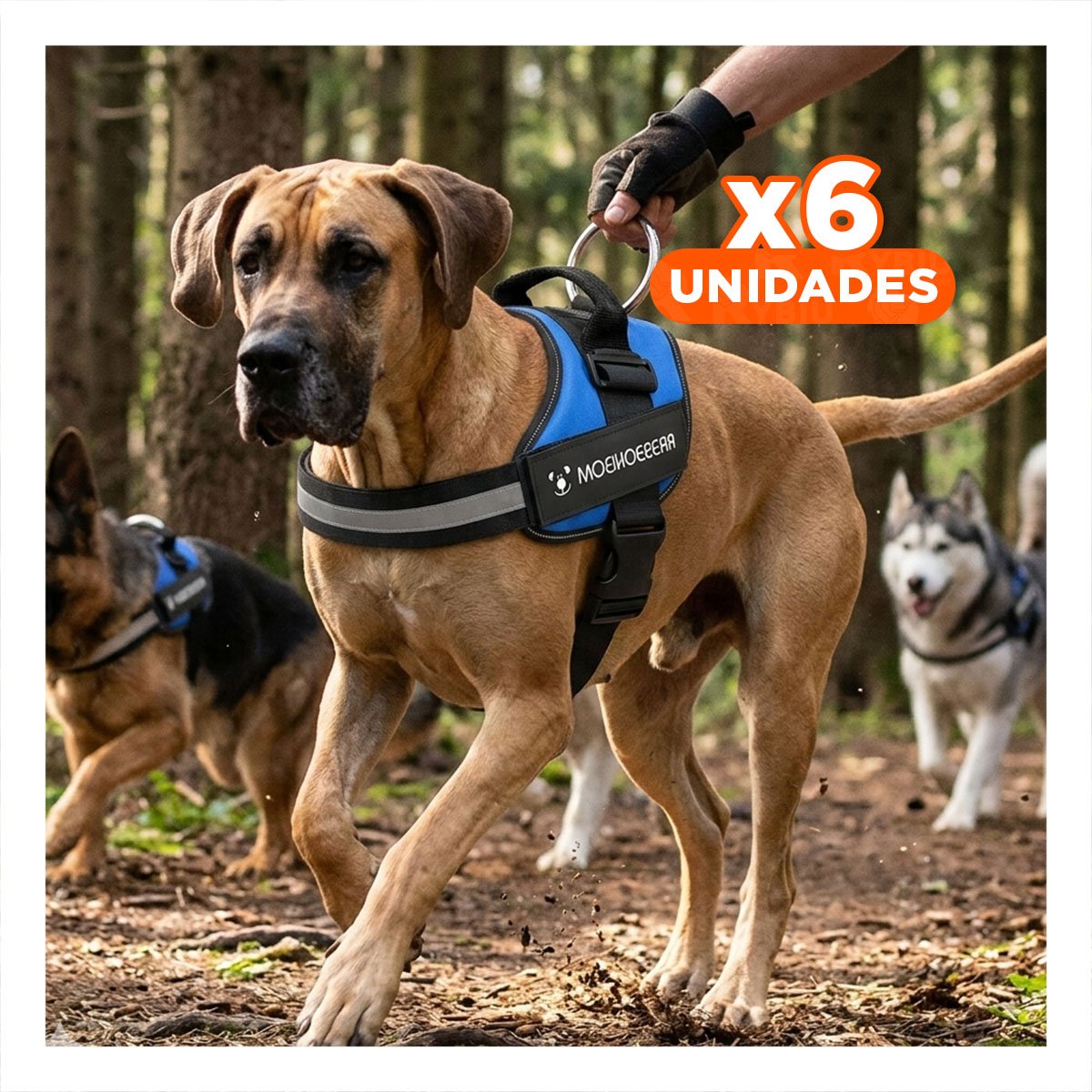 PACK6 CHALECO REFORZADO SERVICE DOG TALLA XL AZUL TRABAJO DIARIO Y+REGALO STICKER - 1