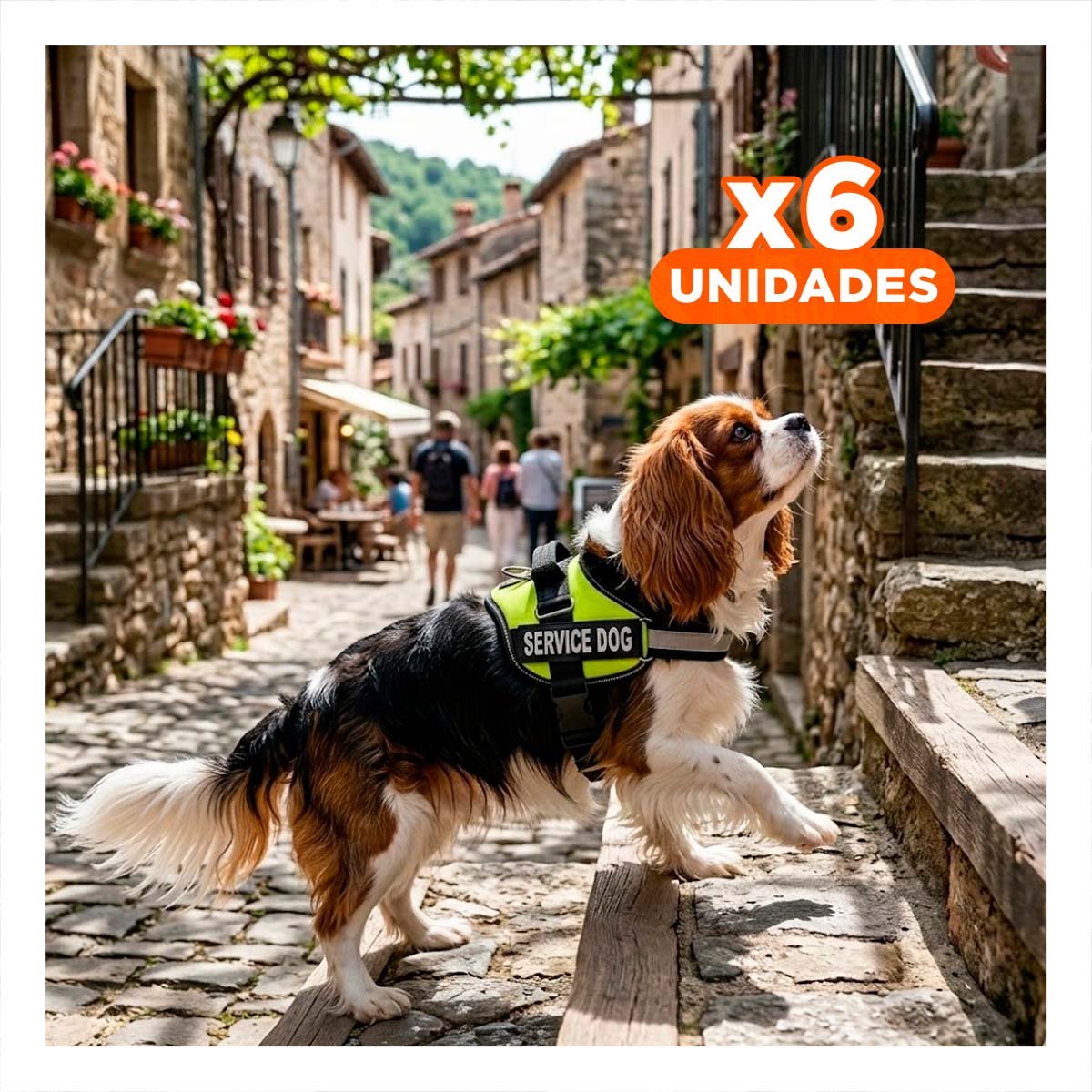 PACK6 CHALECO REFORZADO SERVICE DOG TALLA S VERDE TRABAJO DIARIO Y+REGALO STICKER - 1