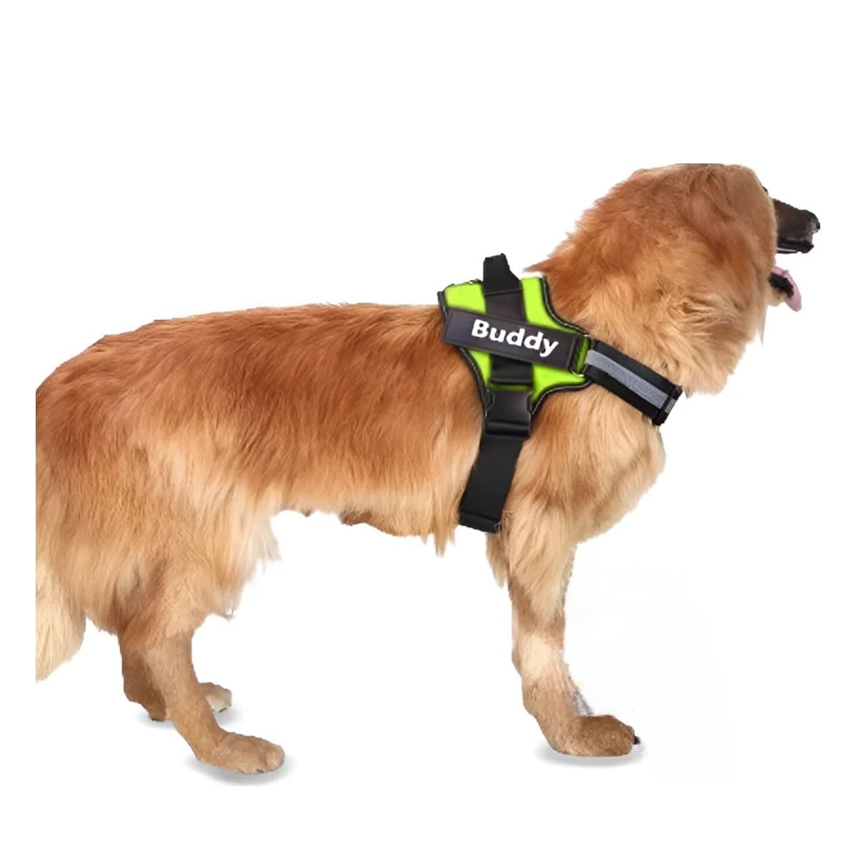 PACK6 CHALECO REFORZADO SERVICE DOG TALLA S VERDE TRABAJO DIARIO Y+REGALO STICKER - 2