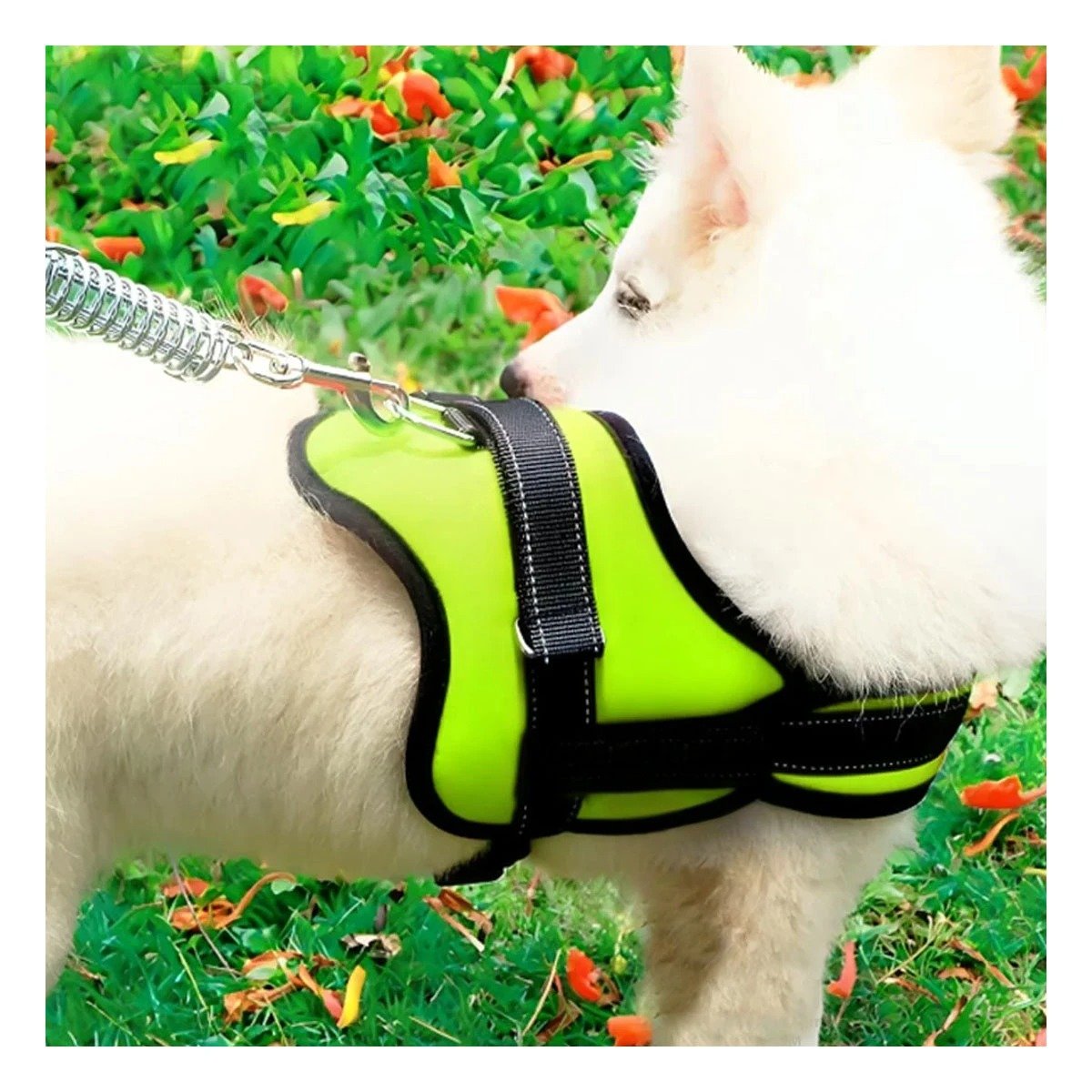 PACK6 CHALECO REFORZADO SERVICE DOG TALLA S VERDE TRABAJO DIARIO Y+REGALO STICKER - 5