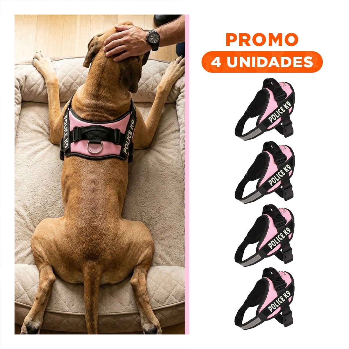 PACK4 ARNES REFORZADO SERVICE DOG TALLA XXL ROSADO USO CONSTANTE Y+REGALO STICKER - 1