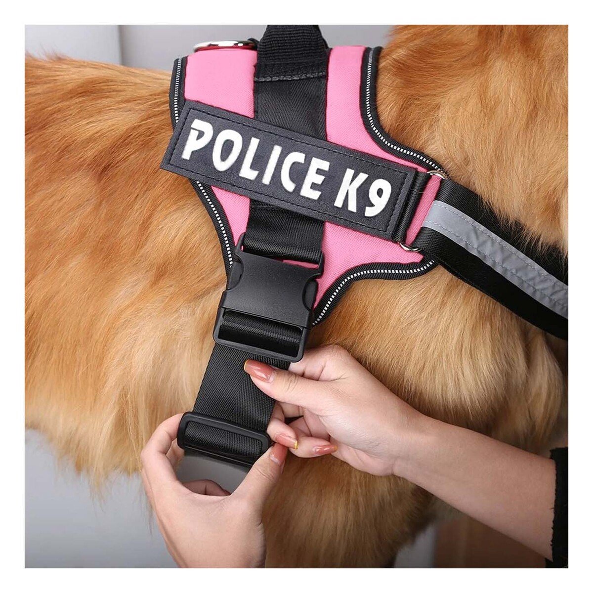 PACK4 ARNES REFORZADO SERVICE DOG TALLA XXL ROSADO USO CONSTANTE Y+REGALO STICKER - 5