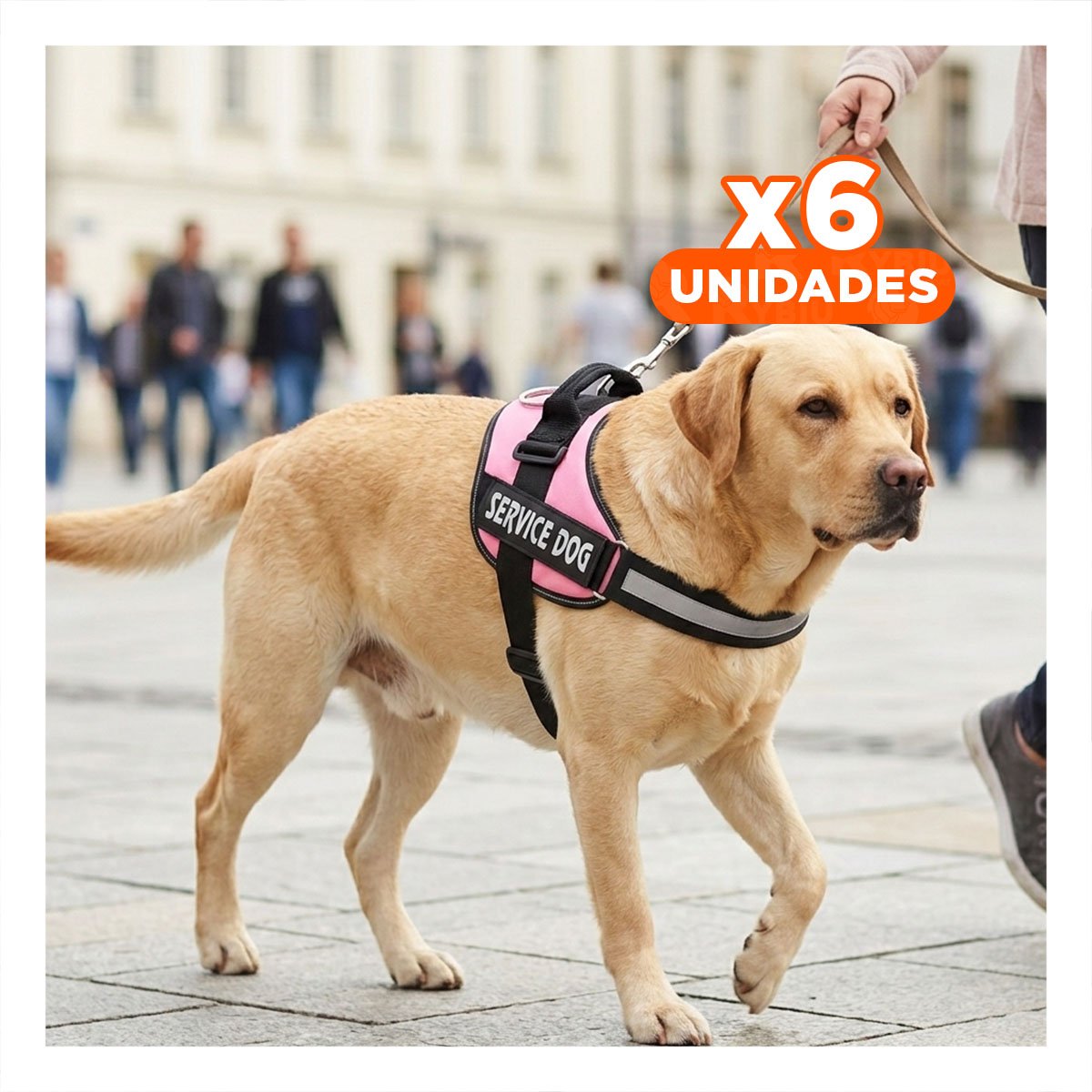 PACK6 ARNES COMODO SERVICE DOG TALLA XL ROSADO PASEOS LARGOS Y+REGALO STICKER - 1