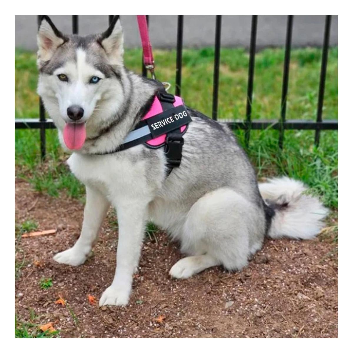 PACK6 ARNES COMODO SERVICE DOG TALLA XL ROSADO PASEOS LARGOS Y+REGALO STICKER - 3