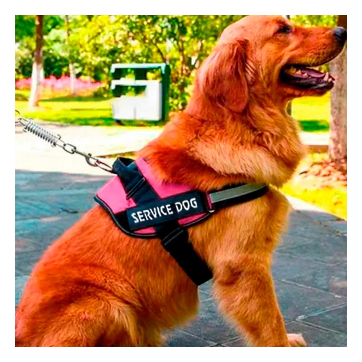 PACK6 ARNES COMODO SERVICE DOG TALLA XL ROSADO PASEOS LARGOS Y+REGALO STICKER - 5