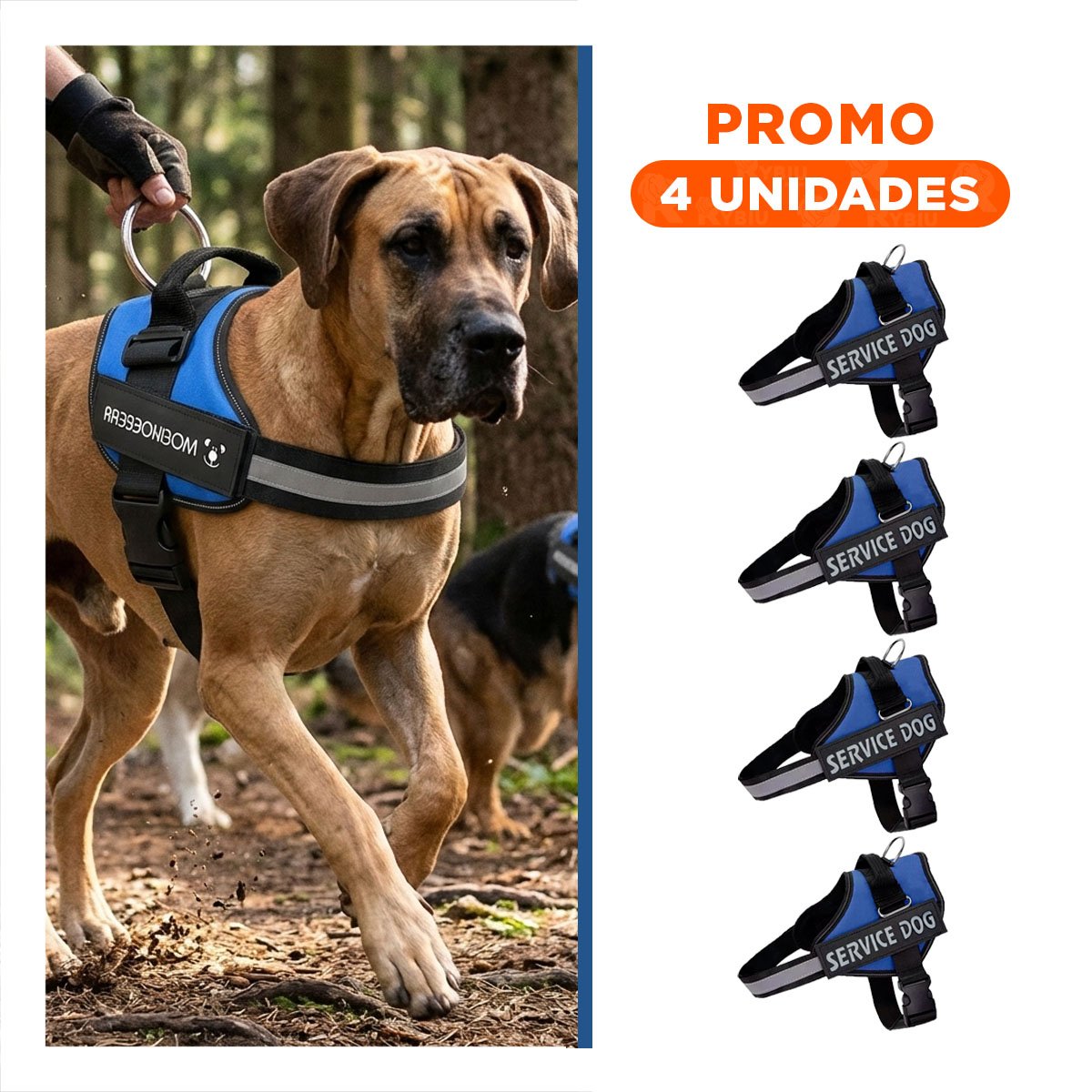 PACK4 CINTURON CANINO SERVICE DOG TALLA XXL AZUL SOPORTE SEGURO Y+REGALO STICKER - 1