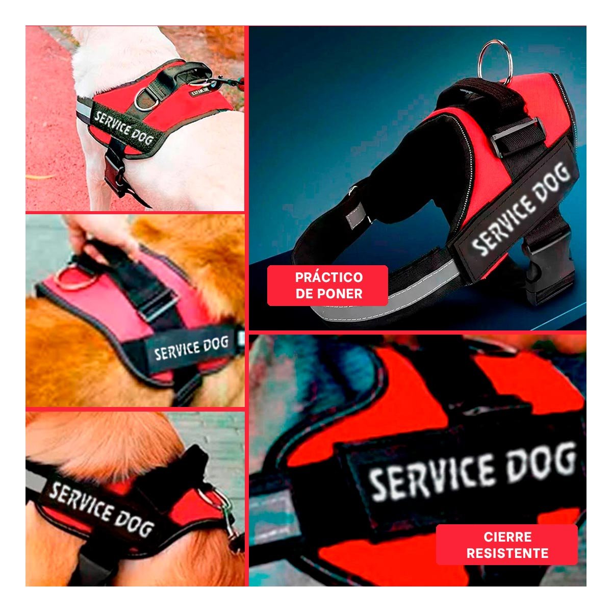 PACK6 EQUIPO REFORZADO SERVICE DOG TALLA XL ROJO USO DIARIO Y+PAPEL REGALO - 3