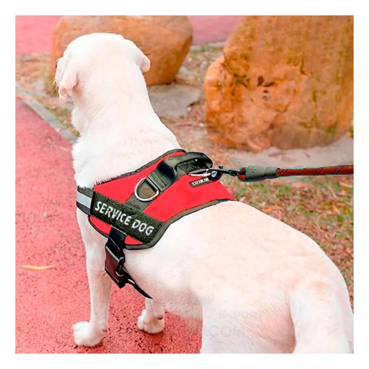 PACK6 EQUIPO REFORZADO SERVICE DOG TALLA XL ROJO USO DIARIO Y+PAPEL REGALO - 5