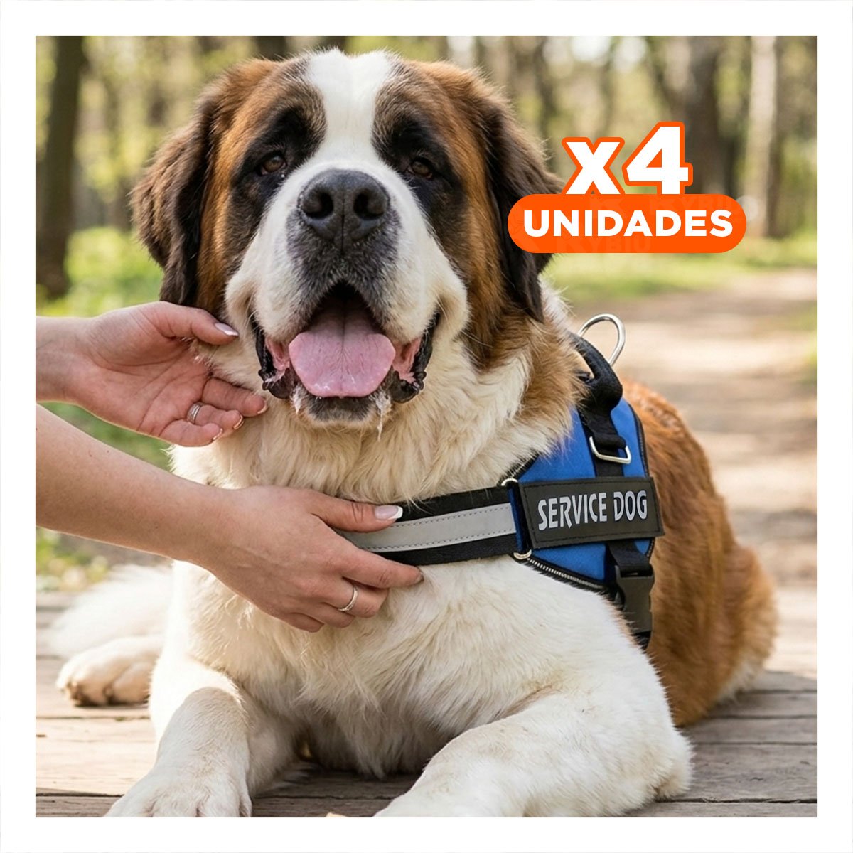 PACK4 ARNES COMODO SERVICE DOG TALLA XXL AZUL PASEOS LARGOS - 1