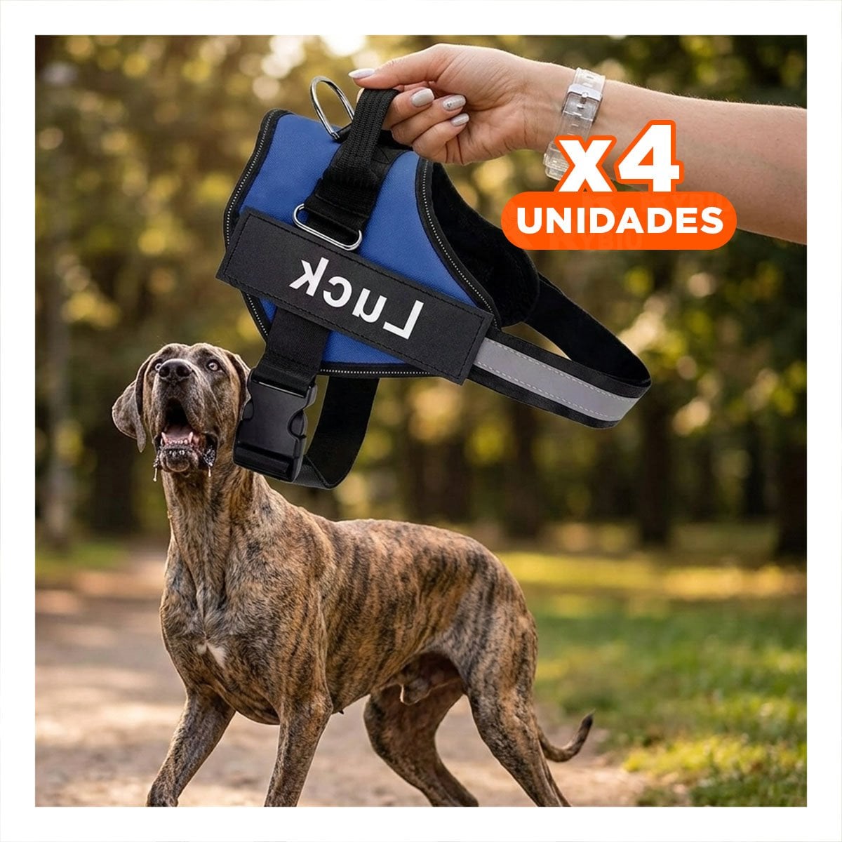PACK4 ARNES COMODO SERVICE DOG TALLA XL AZUL PASEOS LARGOS - 1