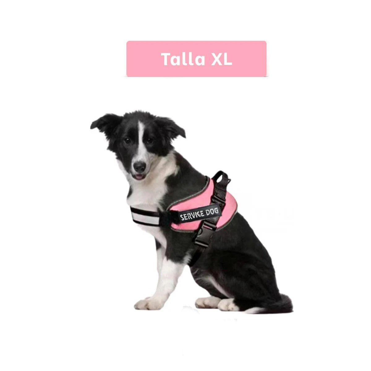 PACK2 ARNES CANINO SERVICE DOG TALLA XL ROSADO PARA MASCOTA ACTIVA Y+PAPEL REGALO - 4