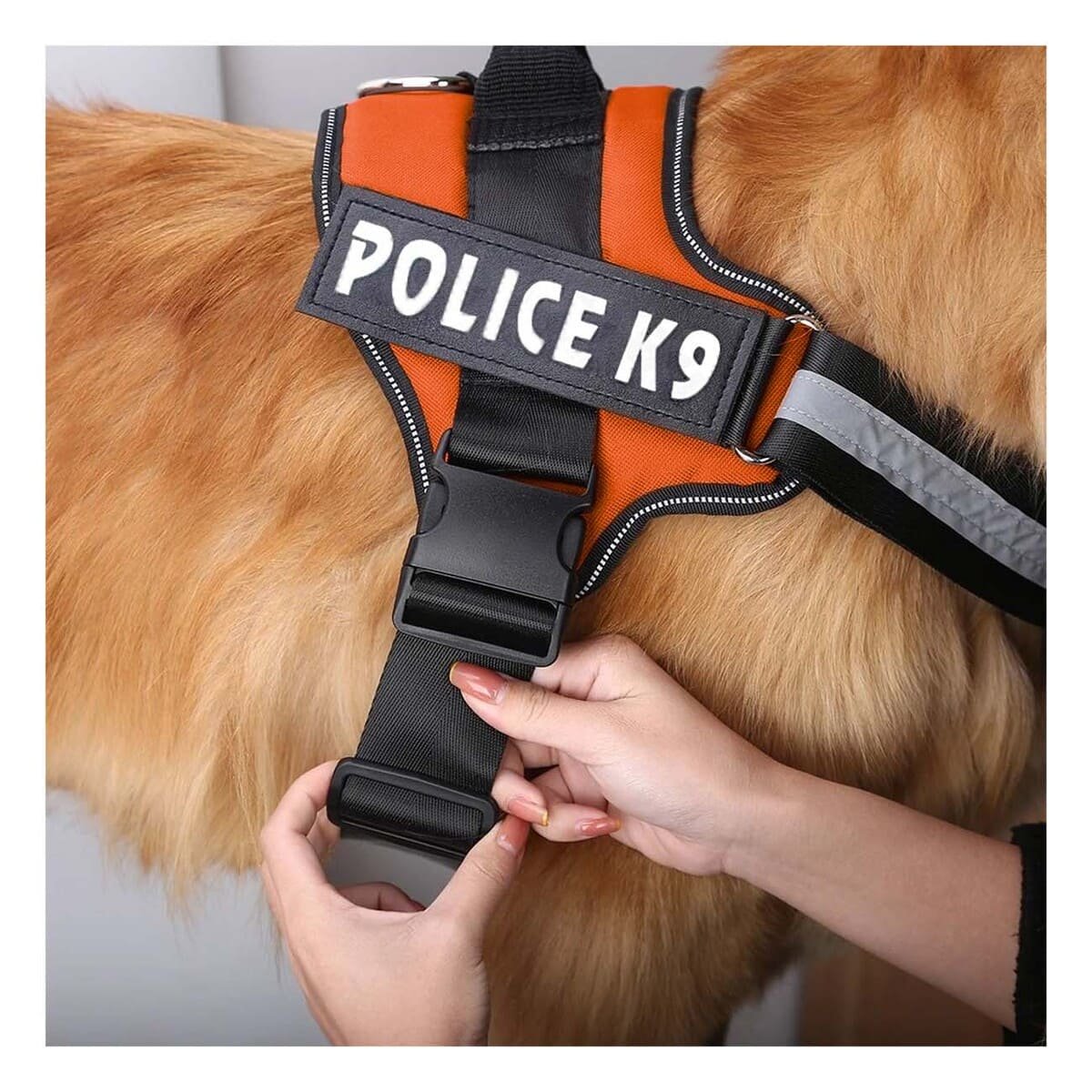 PACK6 CORREA AJUSTABLE SERVICE DOG TALLA XXL ANARANJADO PASEO DIARIO - 3