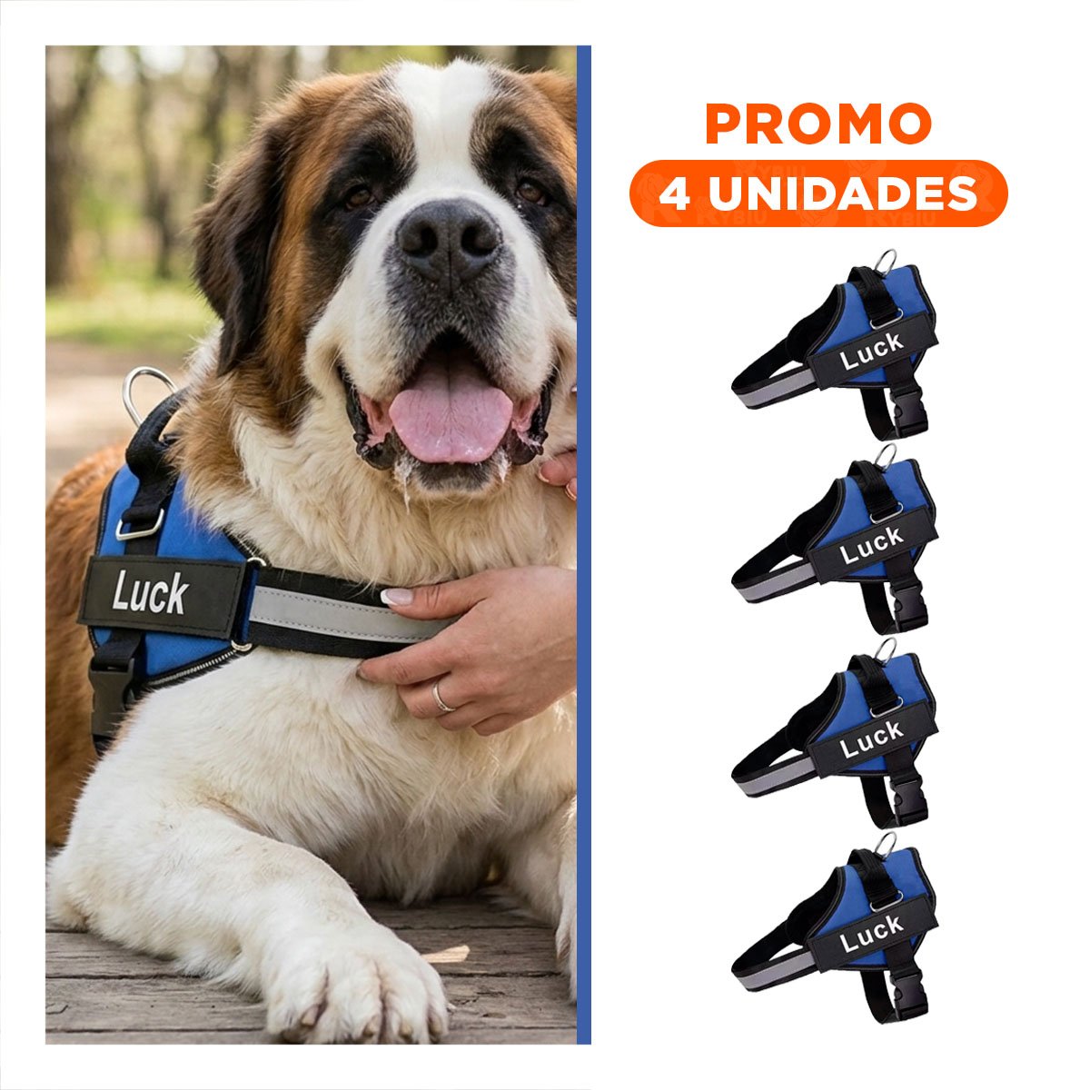 PACK4 CINTURON CANINO SERVICE DOG TALLA XL AZUL SOPORTE SEGURO Y+REGALO STICKER - 1