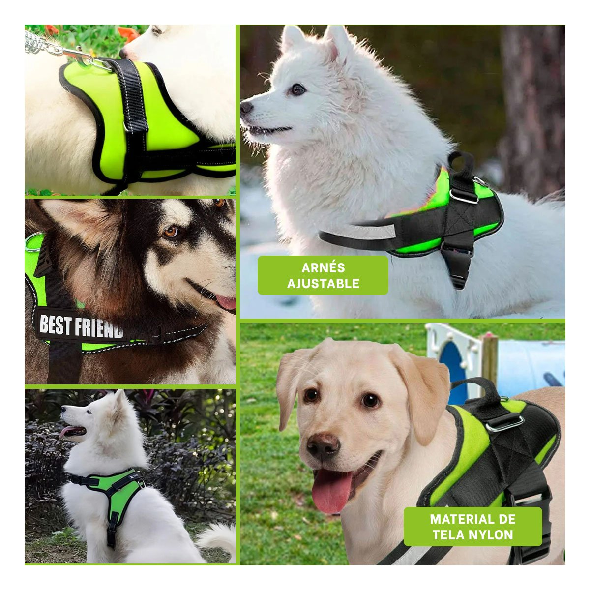 PACK6 ARNES DE PASEO SERVICE DOG TALLA S VERDE MASCOTA URBANA Y+PAPEL REGALO - 3