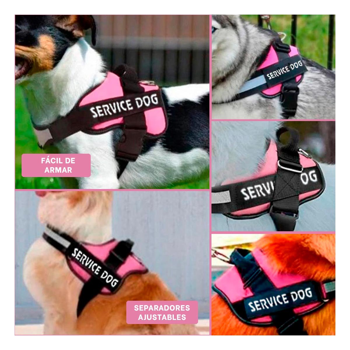 PACK4 ARNES REFORZADO SERVICE DOG TALLA XL ROSADO USO CONSTANTE Y+REGALO STICKER - 2