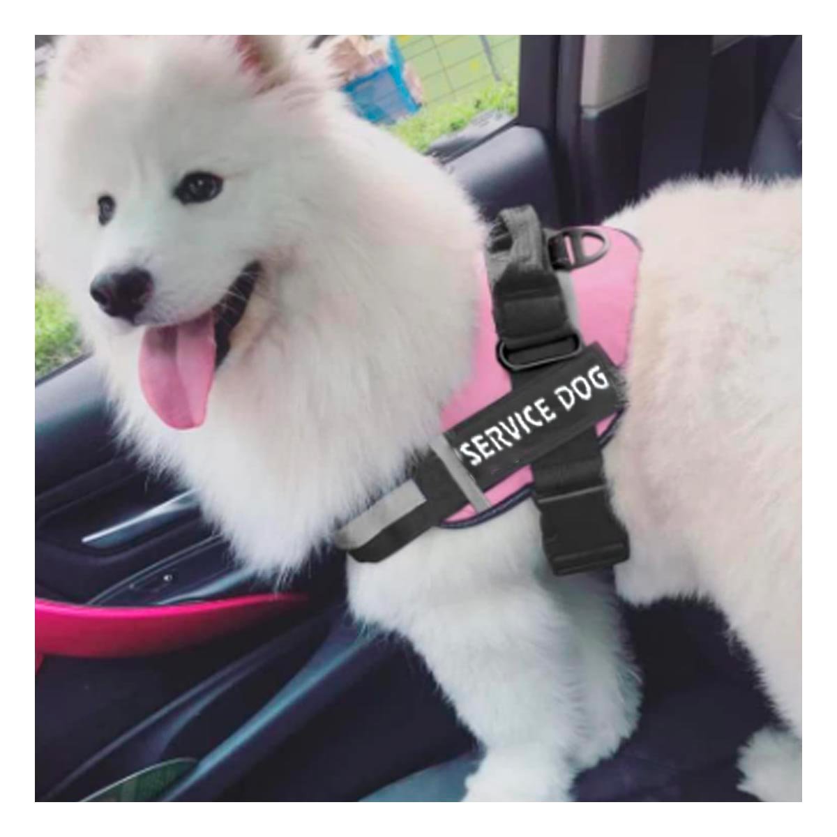 PACK4 ARNES REFORZADO SERVICE DOG TALLA XL ROSADO USO CONSTANTE Y+REGALO STICKER - 5