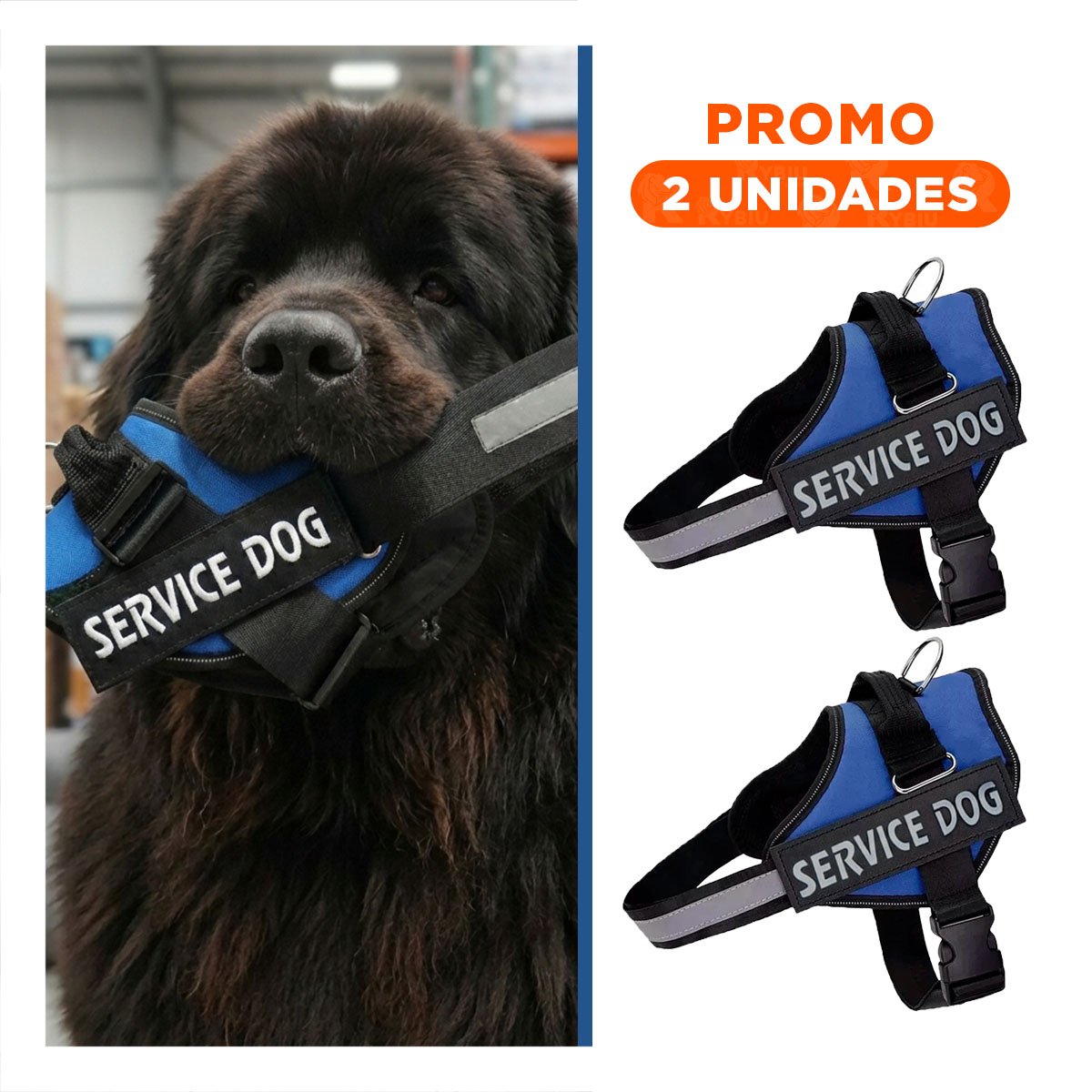 PACK2 ARNES REFORZADO SERVICE DOG TALLA XXL AZUL USO CONSTANTE - 1