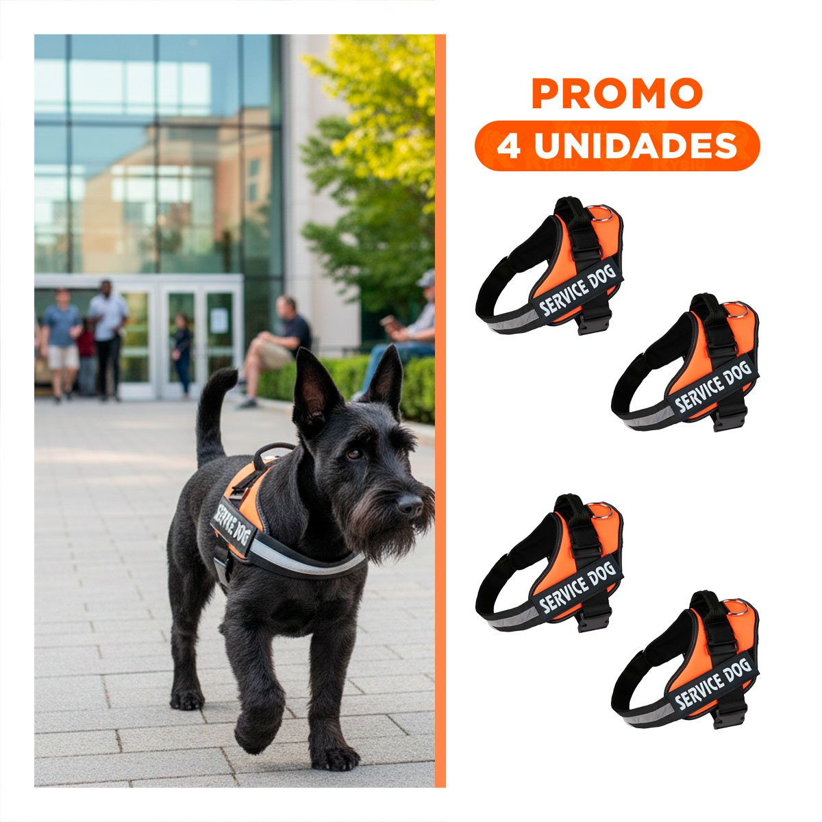 PACK4 CINTURON CANINO SERVICE DOG TALLA S ANARANJADO SOPORTE SEGURO Y+REGALO STICKER - 1